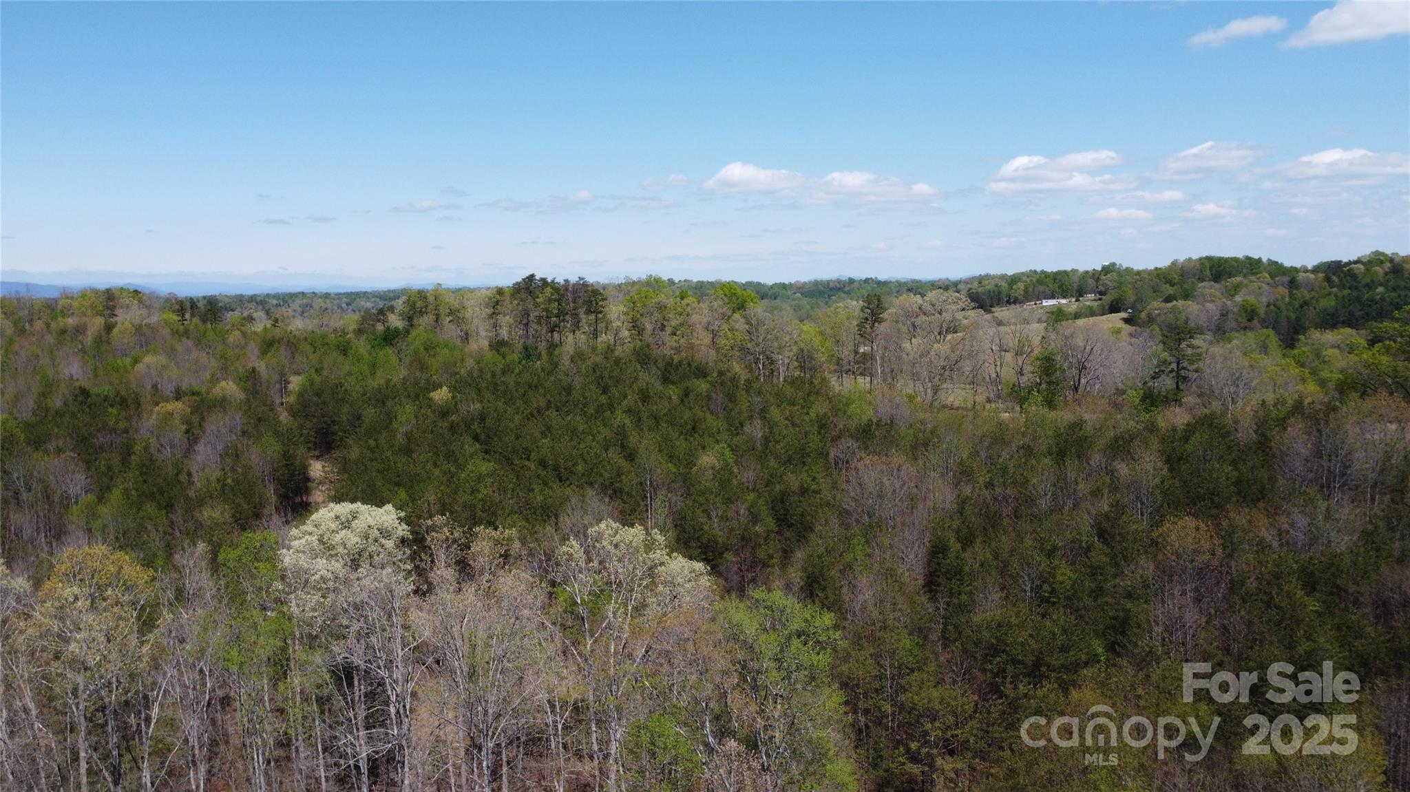 Acreage at 0 Snowhill Church Road, Morganton, photo 23 of 40