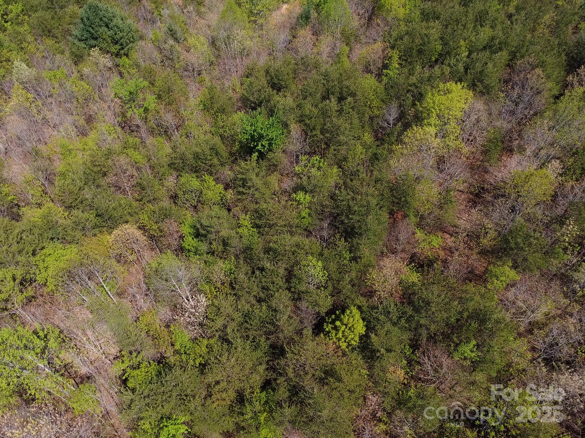Acreage at 0 Snowhill Church Road, Morganton, photo 39 of 40