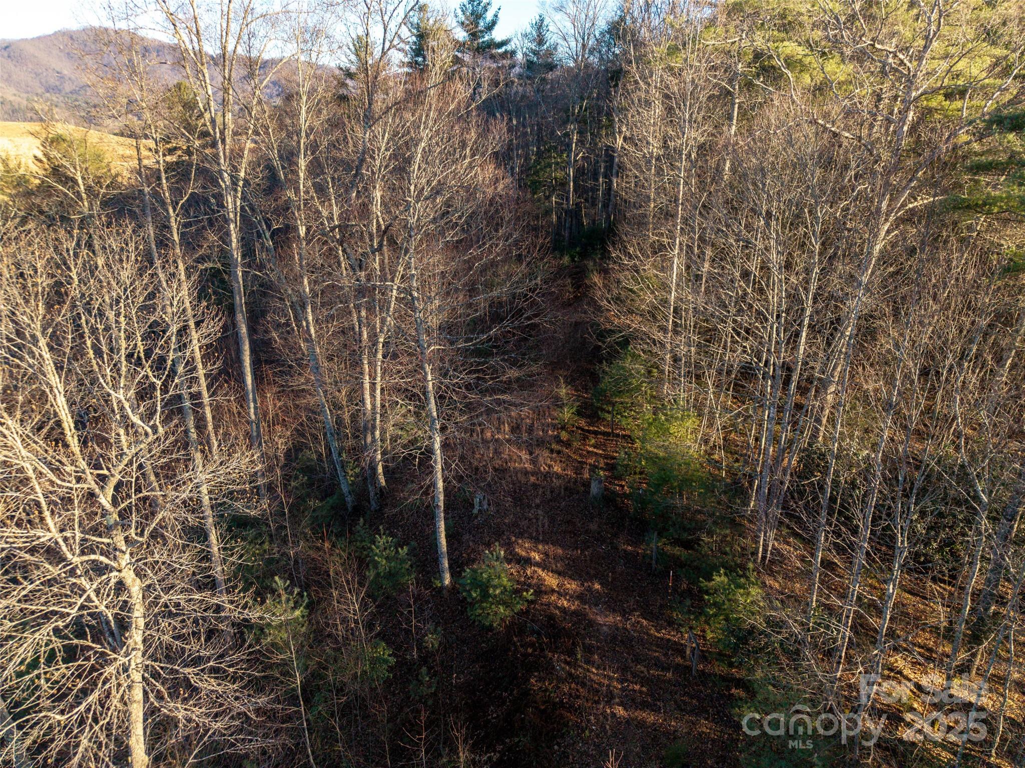 Acreage at 00 Eaglecrest Lane, Waynesville, photo 6 of 8