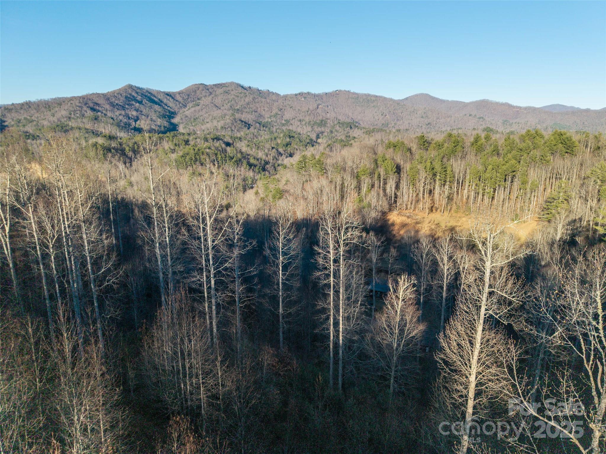 Acreage at 00 Eaglecrest Lane, Waynesville, photo 7 of 8
