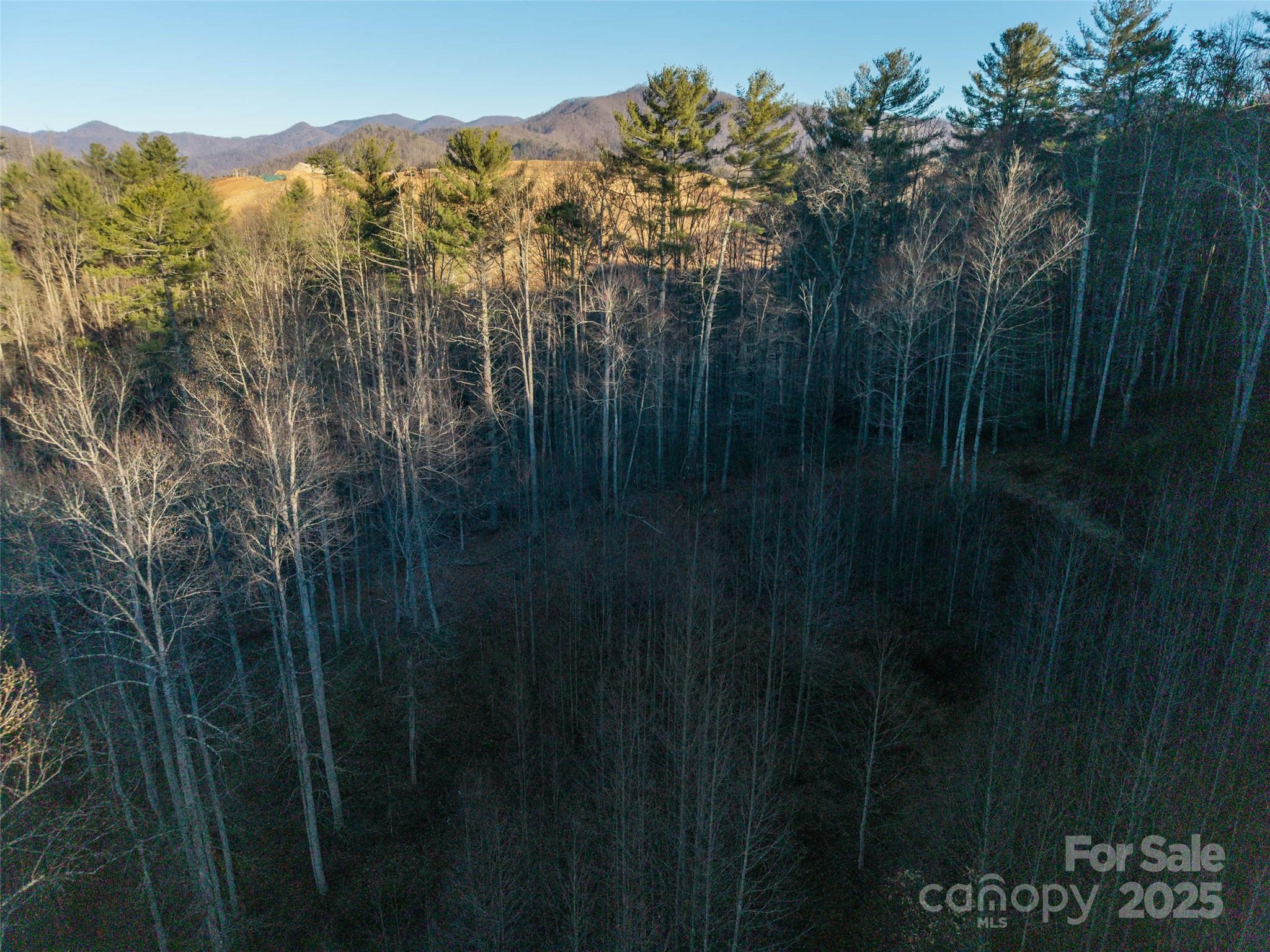 Acreage at 00 Eaglecrest Lane, Waynesville, photo 8 of 8
