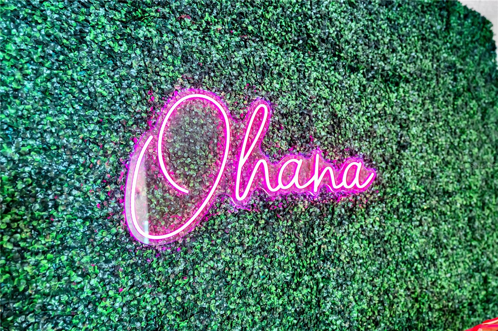 'Ohana' Means chosen Loved Ones - 7639 WILMINGTON LOOP, KISSIMMEE