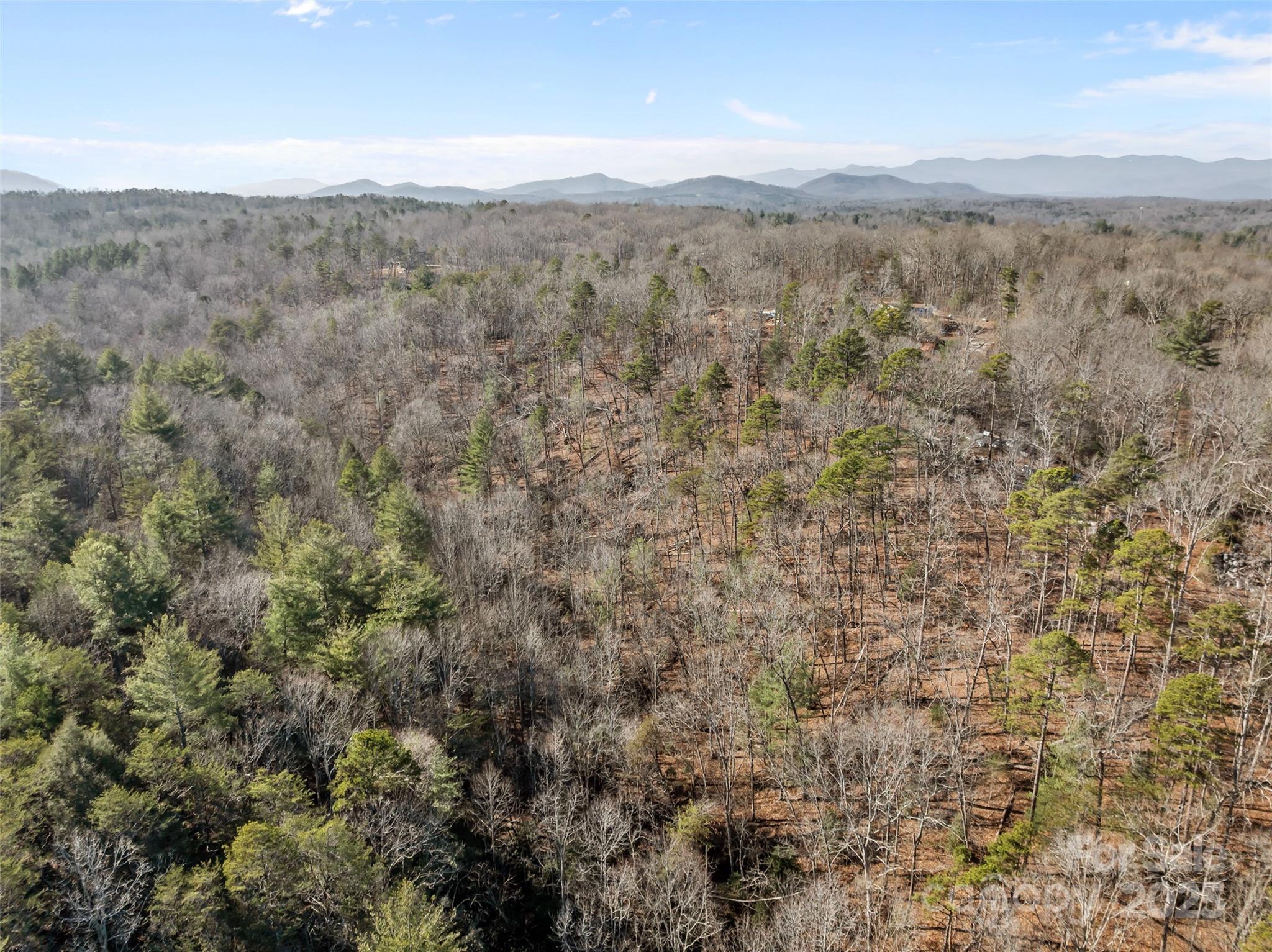 Lot at 0 Darrow Drive, Nebo, photo 9 of 16