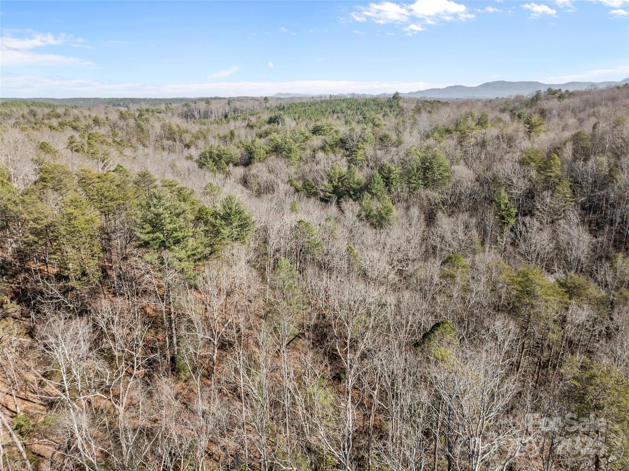 Lot at 0 Darrow Drive, Nebo, photo 10 of 16