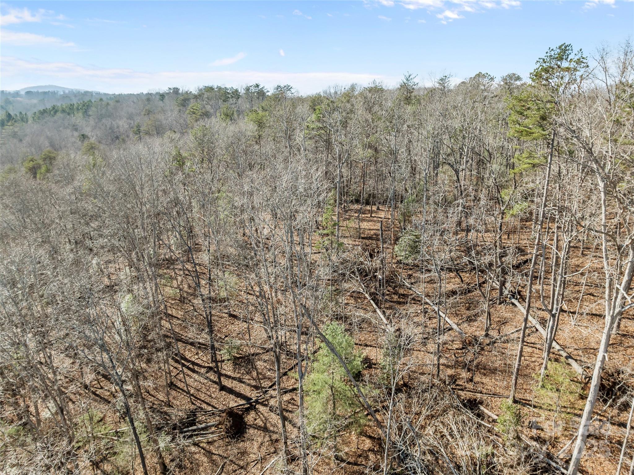 Lot at 0 Darrow Drive, Nebo, photo 11 of 16