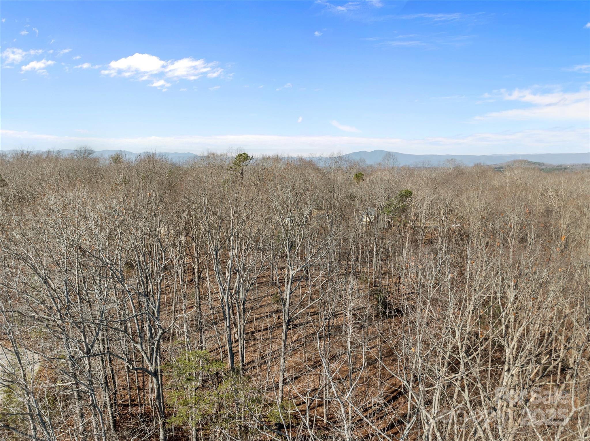 Lot at 0 Darrow Drive, Nebo, photo 12 of 16