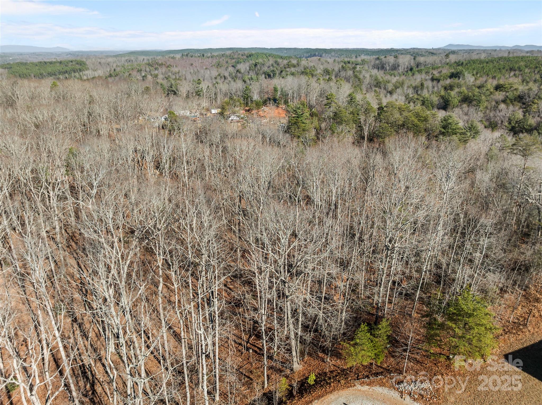 Lot at 0 Darrow Drive, Nebo, photo 13 of 16