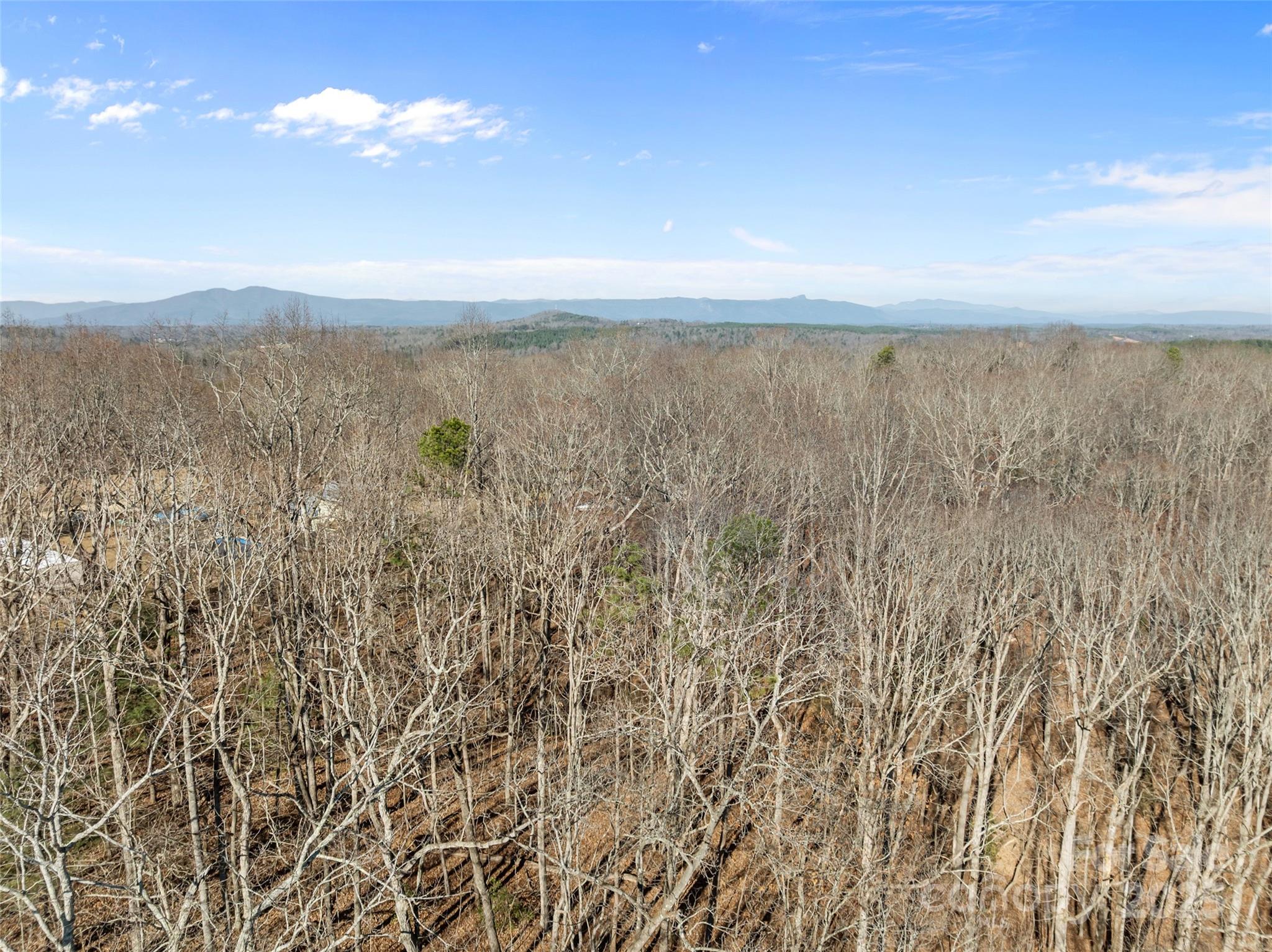 Lot at 0 Darrow Drive, Nebo, photo 14 of 16