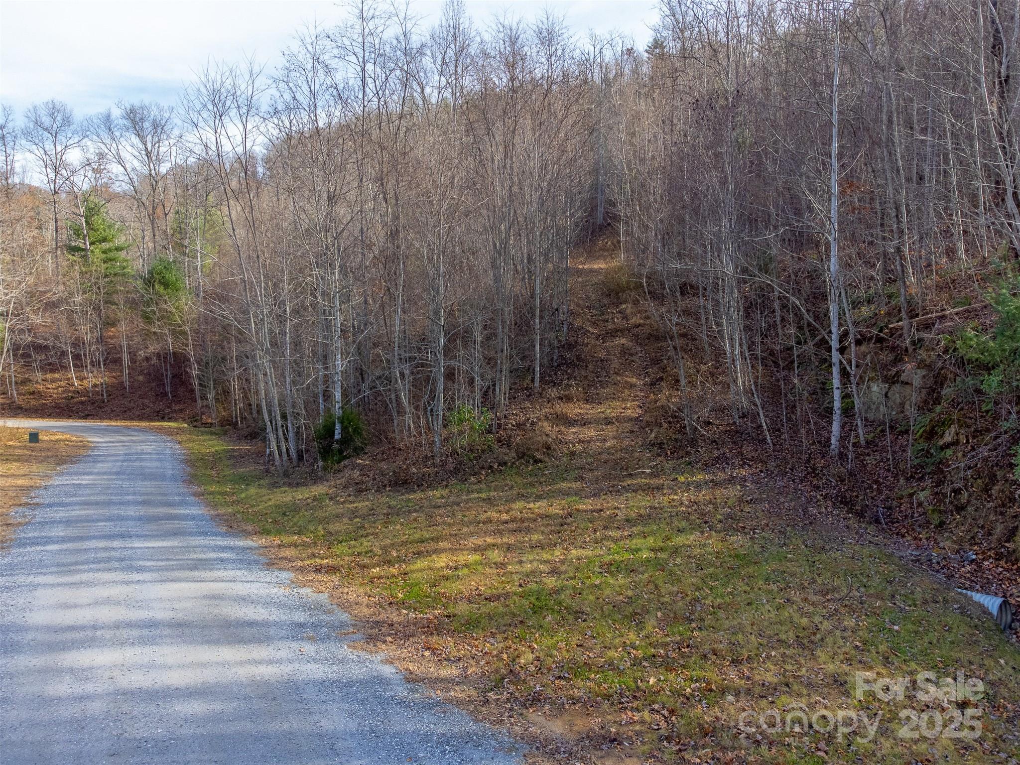 Lot at 00 Garnet Road, Sylva, photo 2 of 46