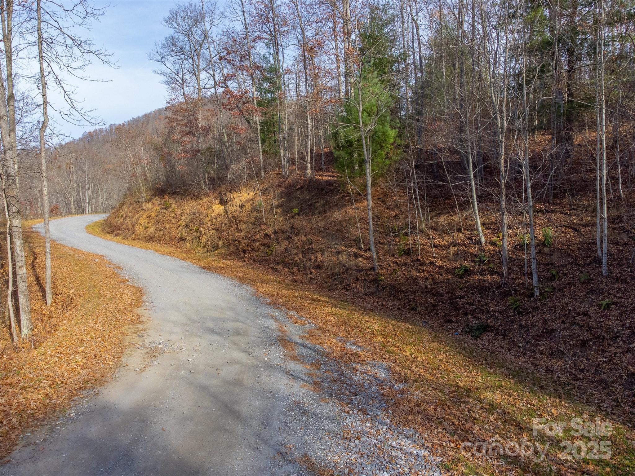 Lot at 00 Garnet Road, Sylva, photo 4 of 46