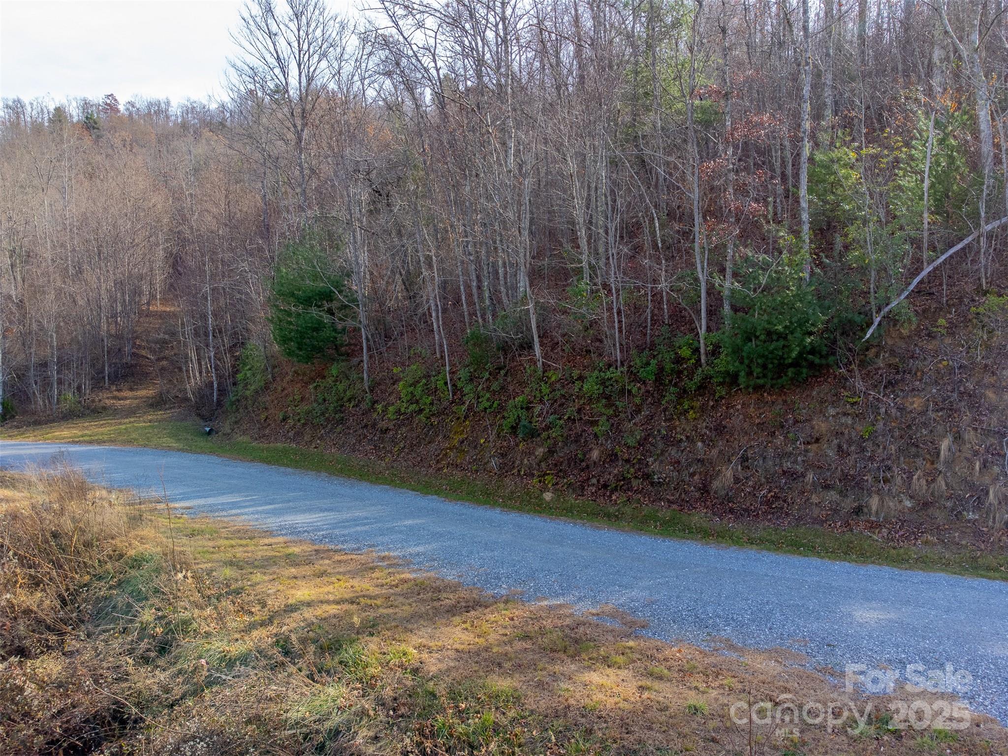 Lot at 00 Garnet Road, Sylva, photo 8 of 46