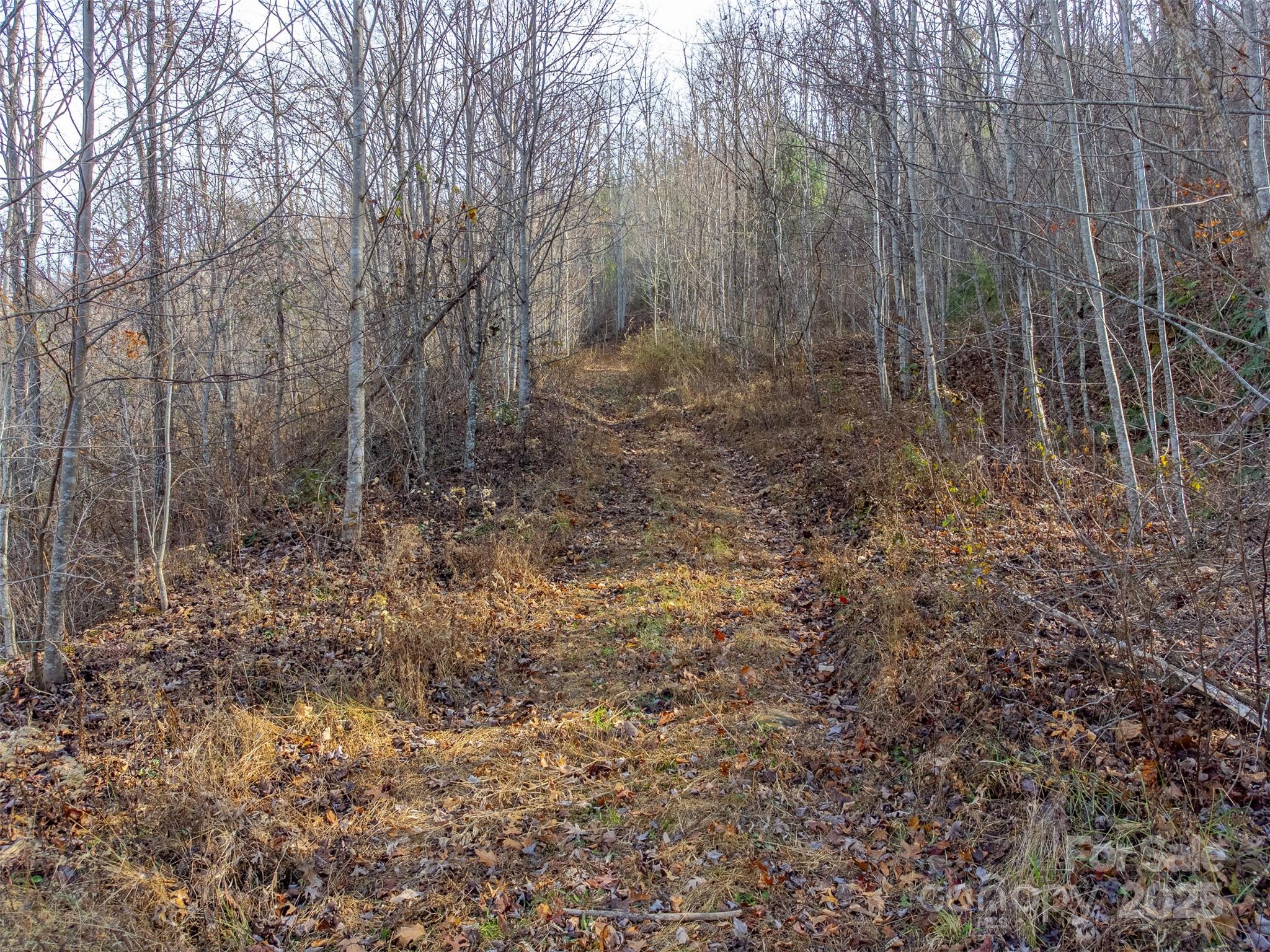 Lot at 00 Garnet Road, Sylva, photo 13 of 46
