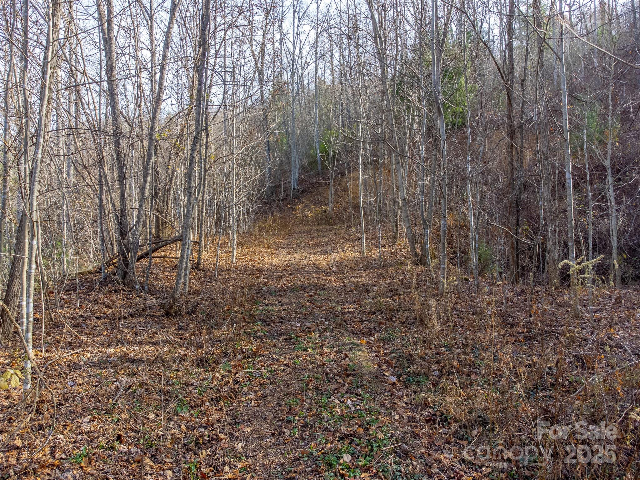 Lot at 00 Garnet Road, Sylva, photo 14 of 46