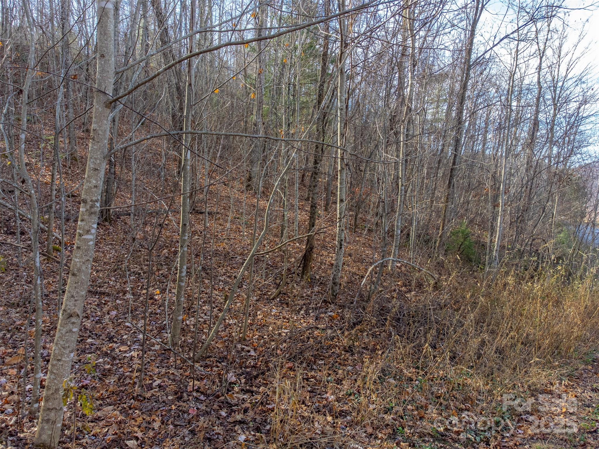 Lot at 00 Garnet Road, Sylva, photo 16 of 46