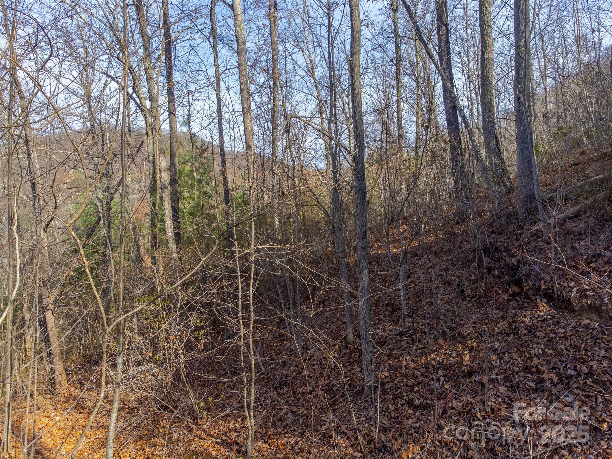 Lot at 00 Garnet Road, Sylva, photo 17 of 46