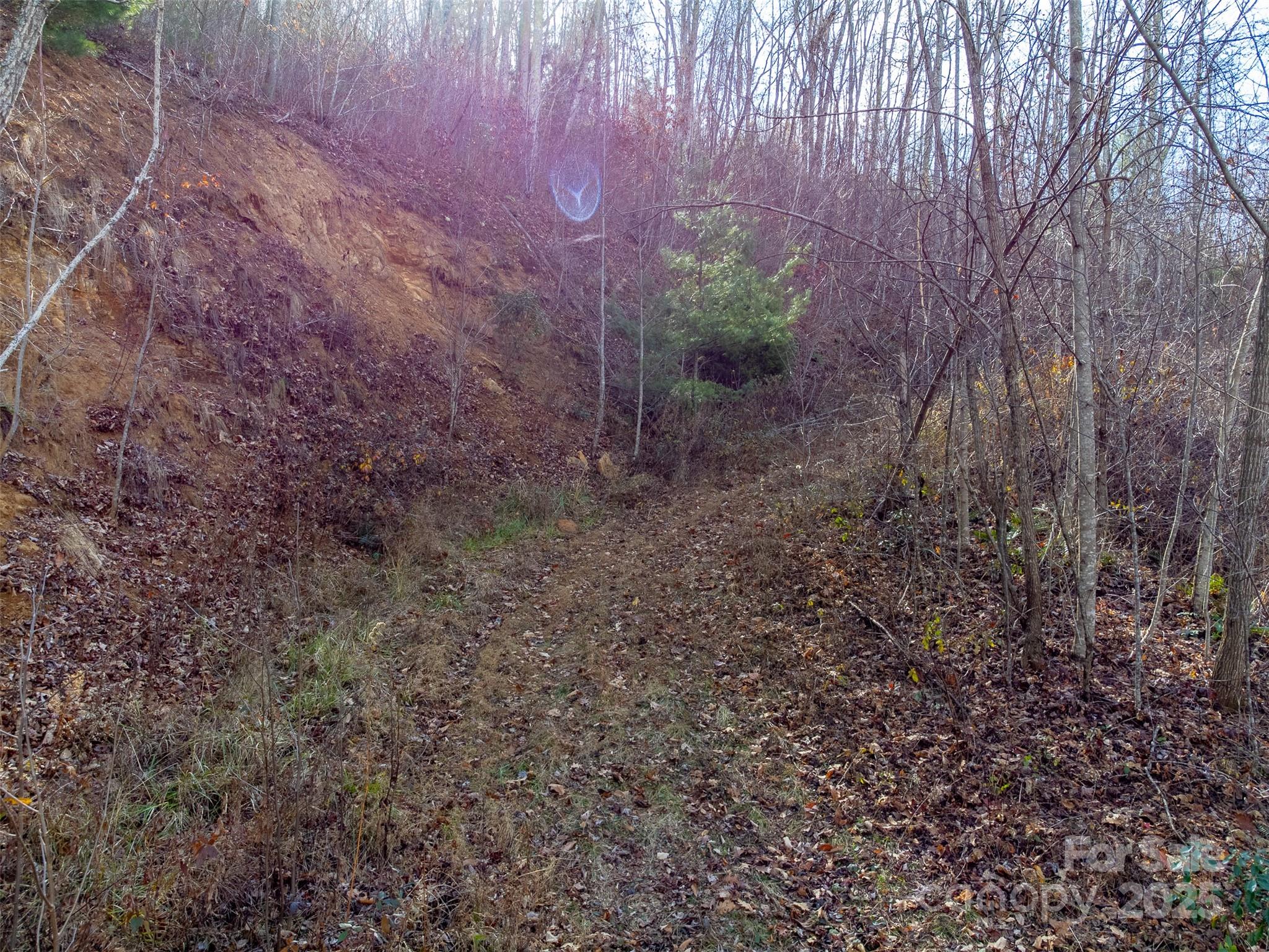 Lot at 00 Garnet Road, Sylva, photo 18 of 46