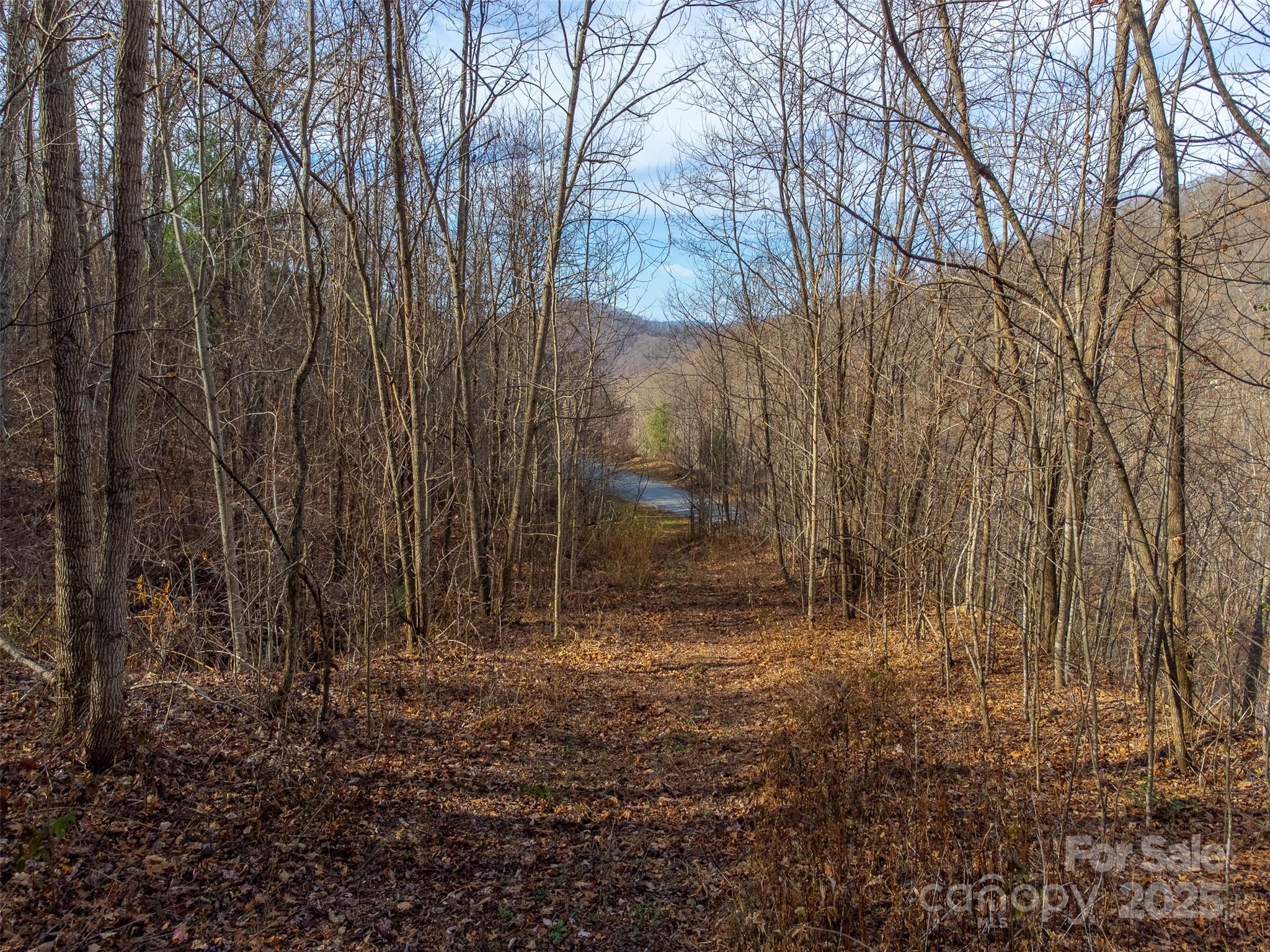 Lot at 00 Garnet Road, Sylva, photo 19 of 46