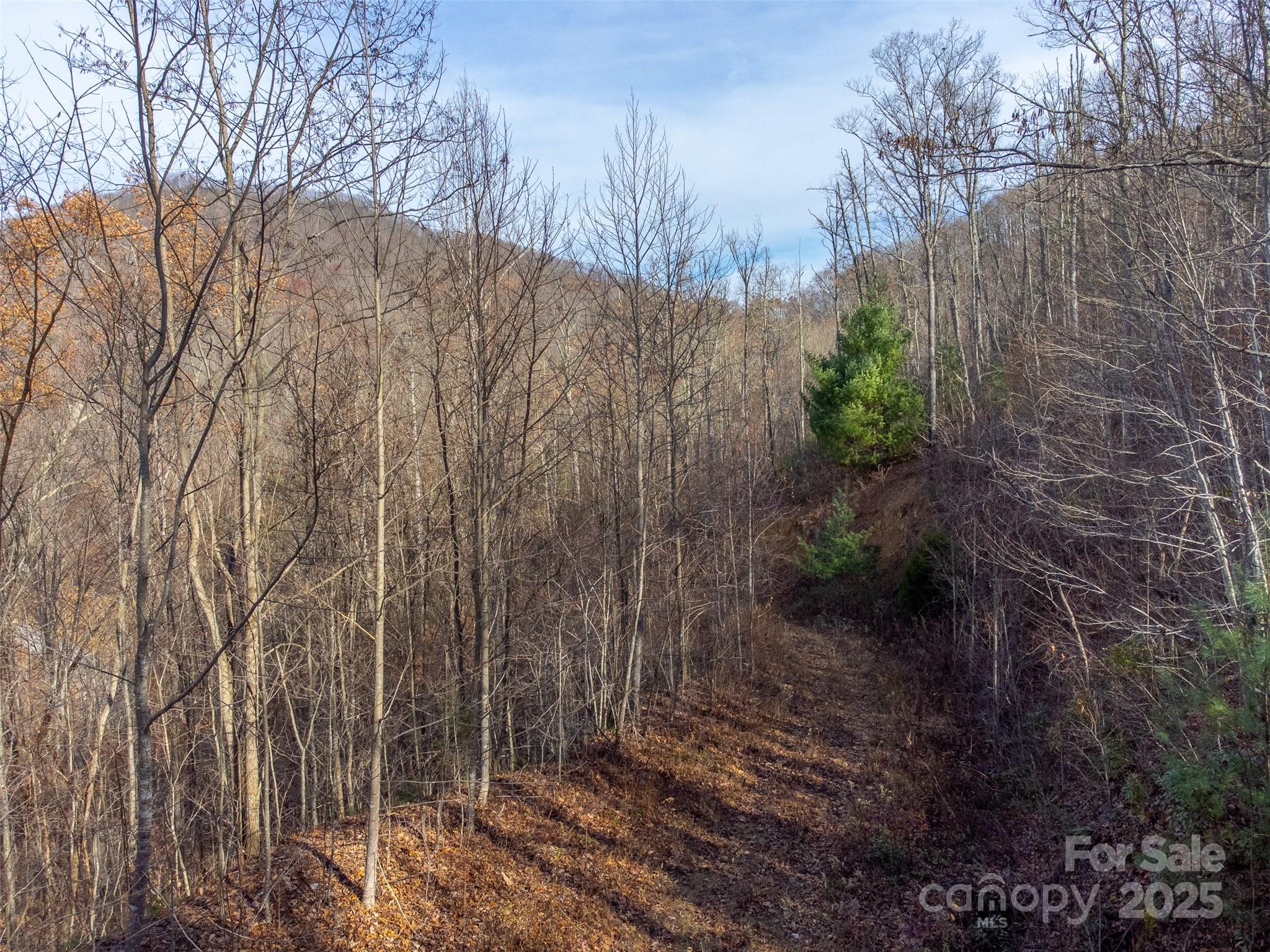 Lot at 00 Garnet Road, Sylva, photo 22 of 46