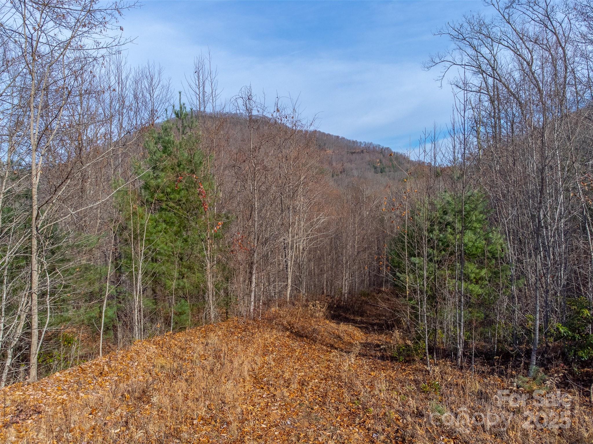 Lot at 00 Garnet Road, Sylva, photo 23 of 46