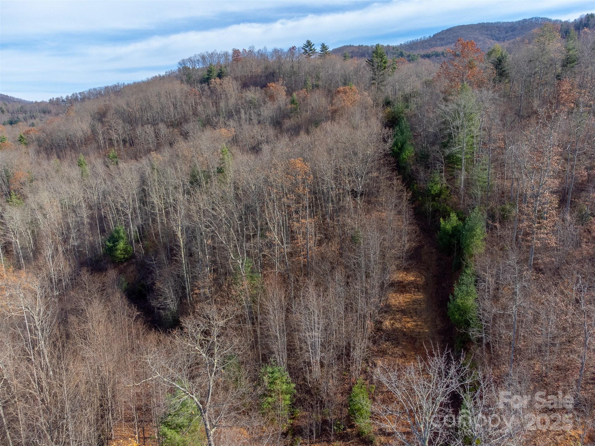 Lot at 00 Garnet Road, Sylva, photo 26 of 46
