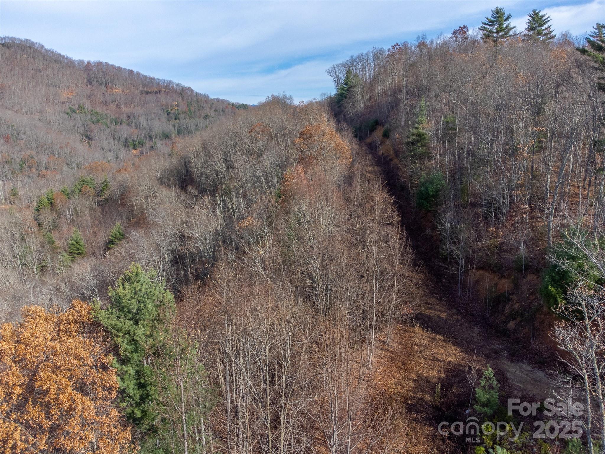 Lot at 00 Garnet Road, Sylva, photo 27 of 46