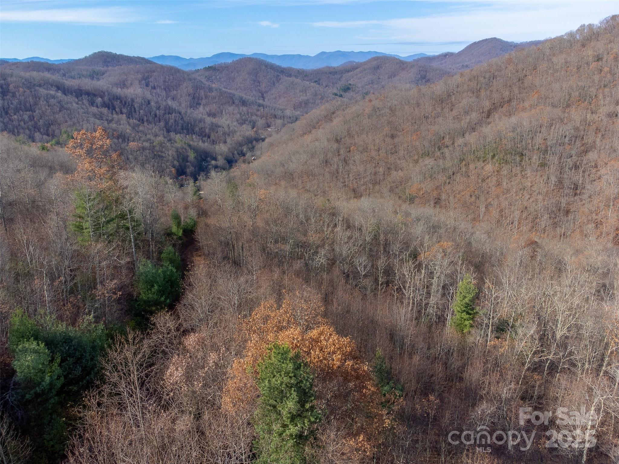 Lot at 00 Garnet Road, Sylva, photo 28 of 46