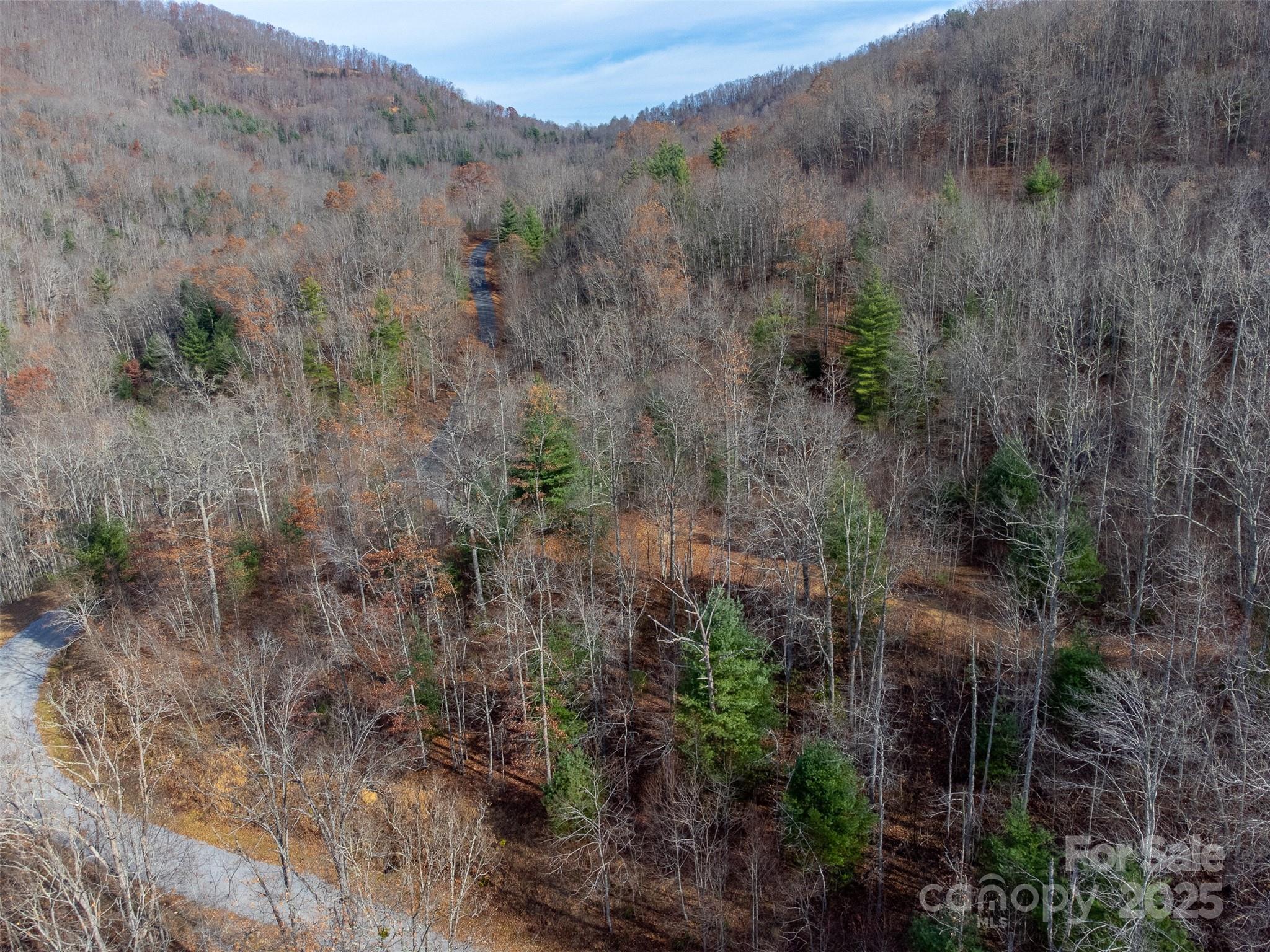 Lot at 00 Garnet Road, Sylva, photo 39 of 46
