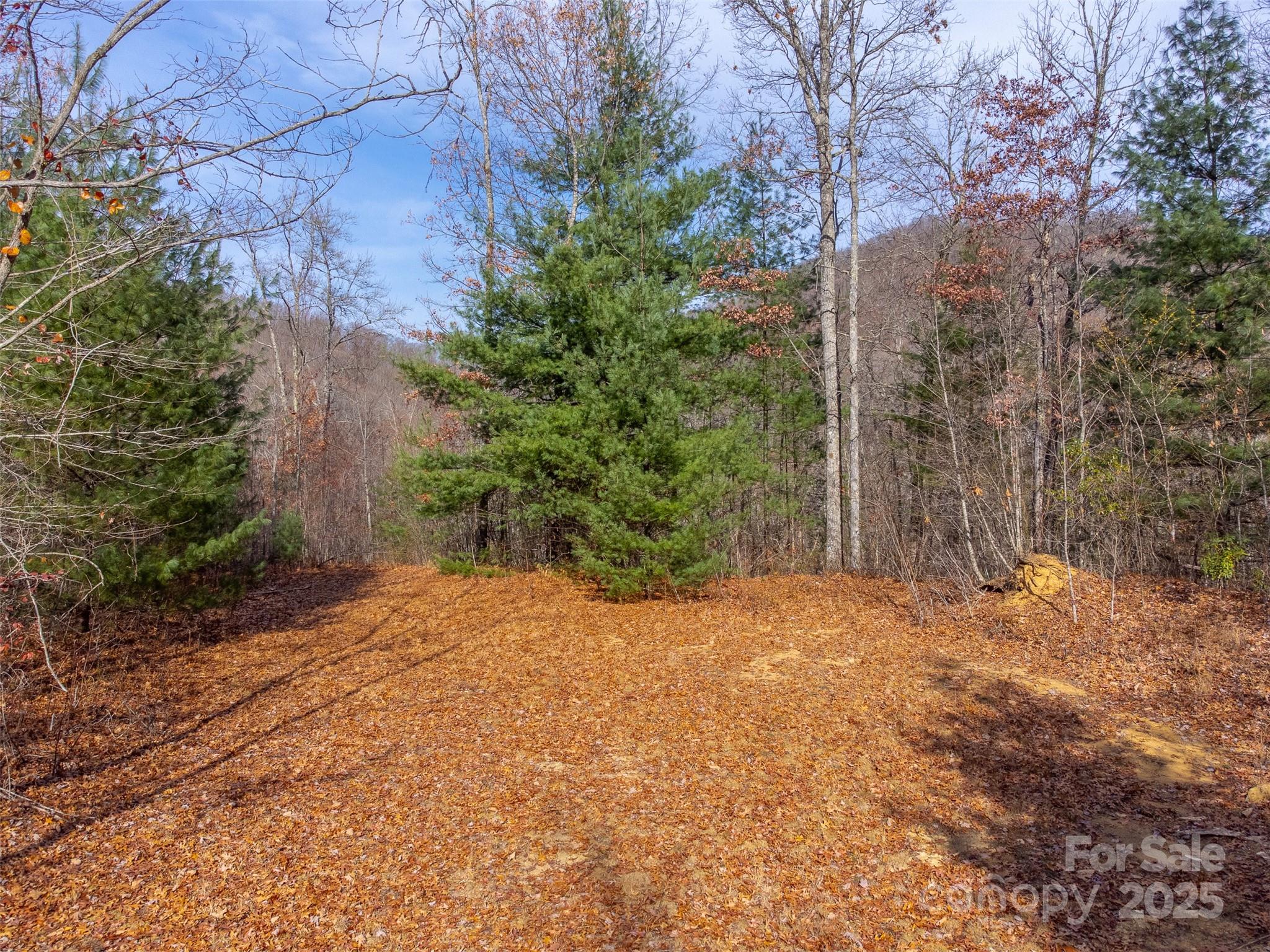 Lot at 00 Garnet Road, Sylva, photo 42 of 46
