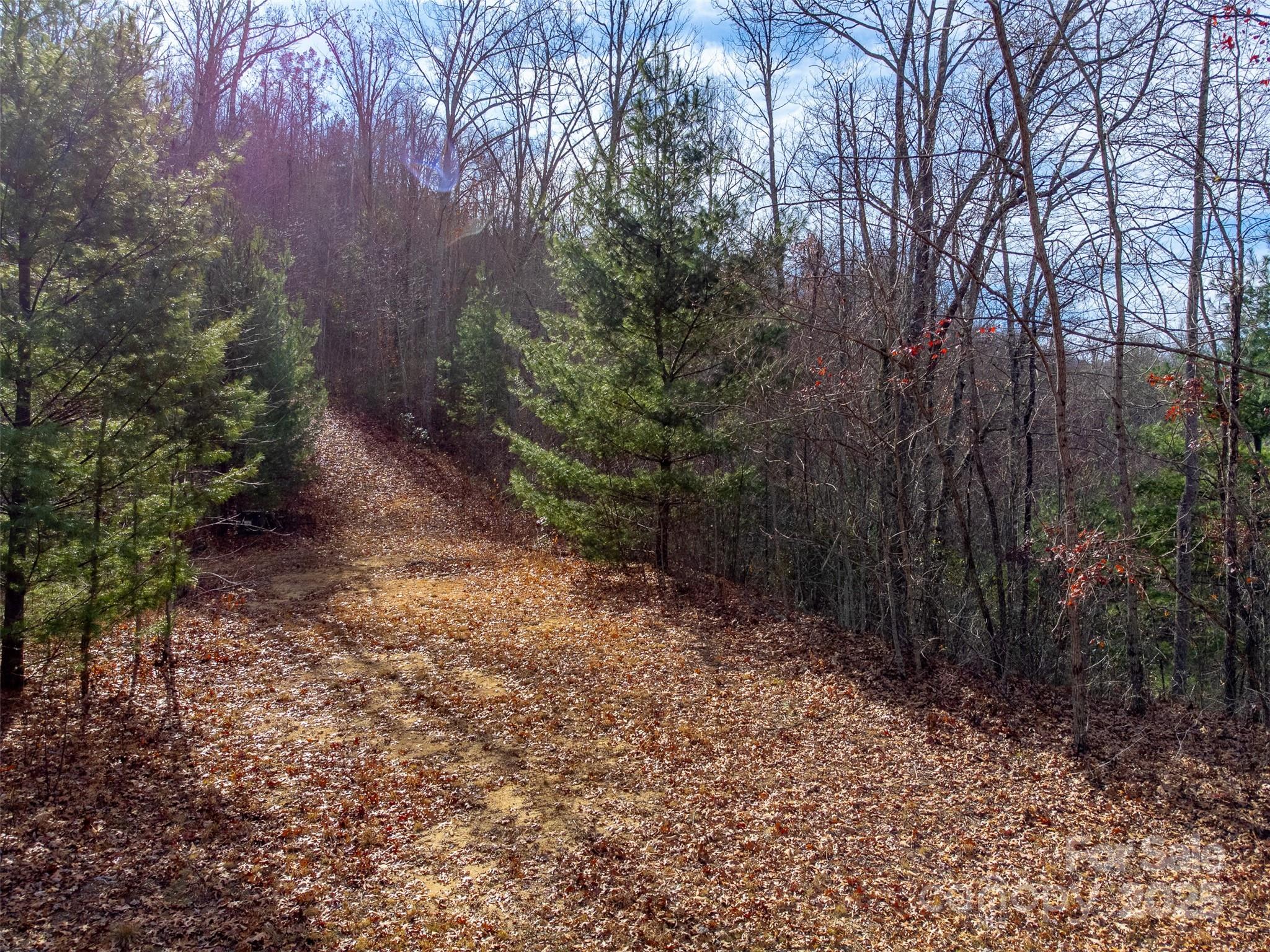 Lot at 00 Garnet Road, Sylva, photo 43 of 46