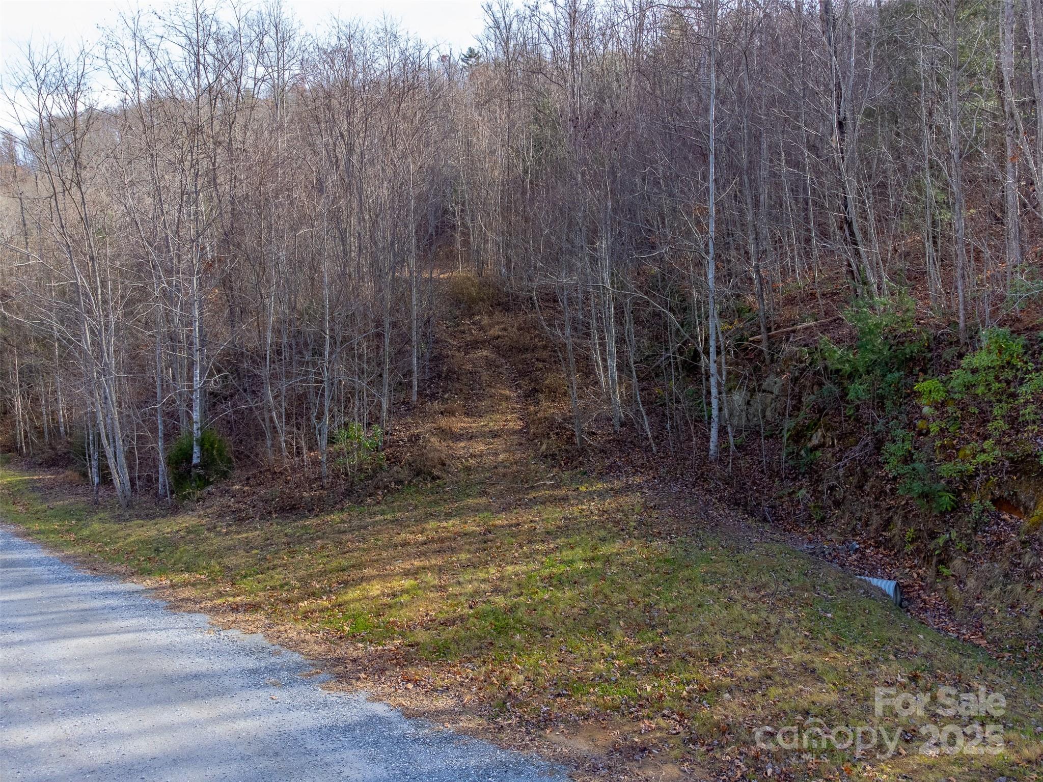 Lot at 00 Garnet Road, Sylva, photo 46 of 46