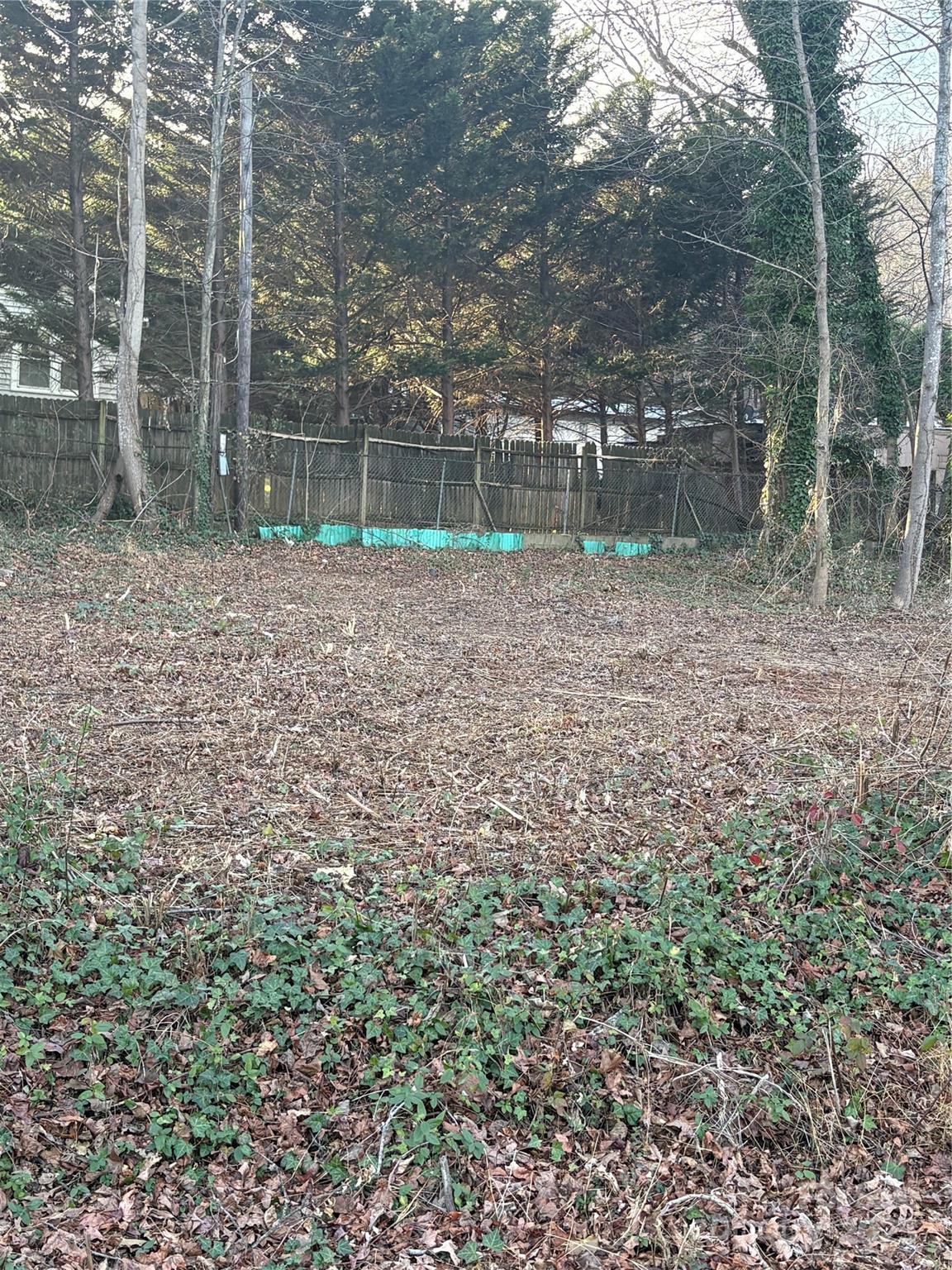 Lot at 0 NC Hwy 108 Highway E, Columbus, photo 5 of 7
