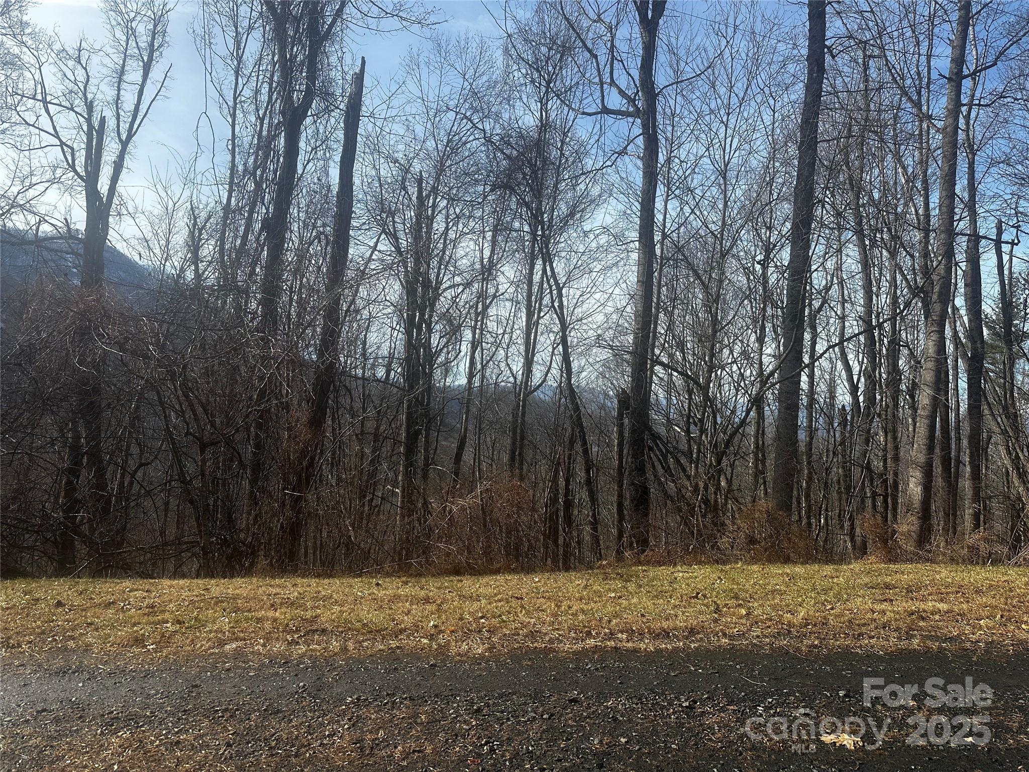 0 Wild Turkey Road