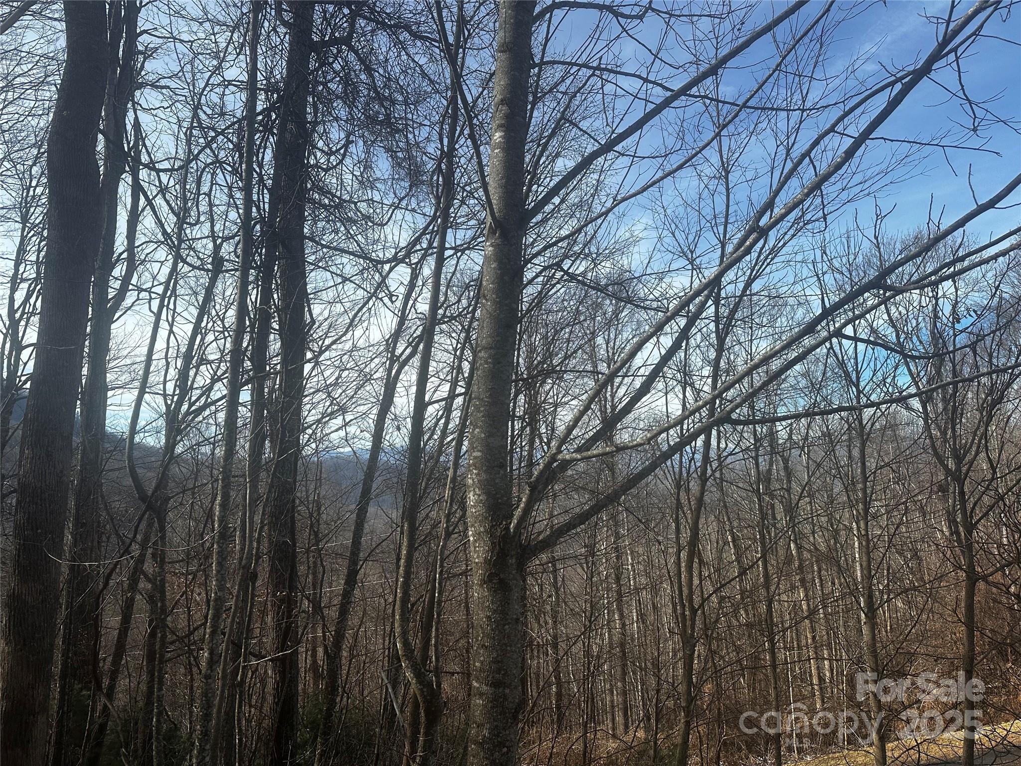 Acreage at 0 Wild Turkey Road, Bakersville, photo 2 of 7