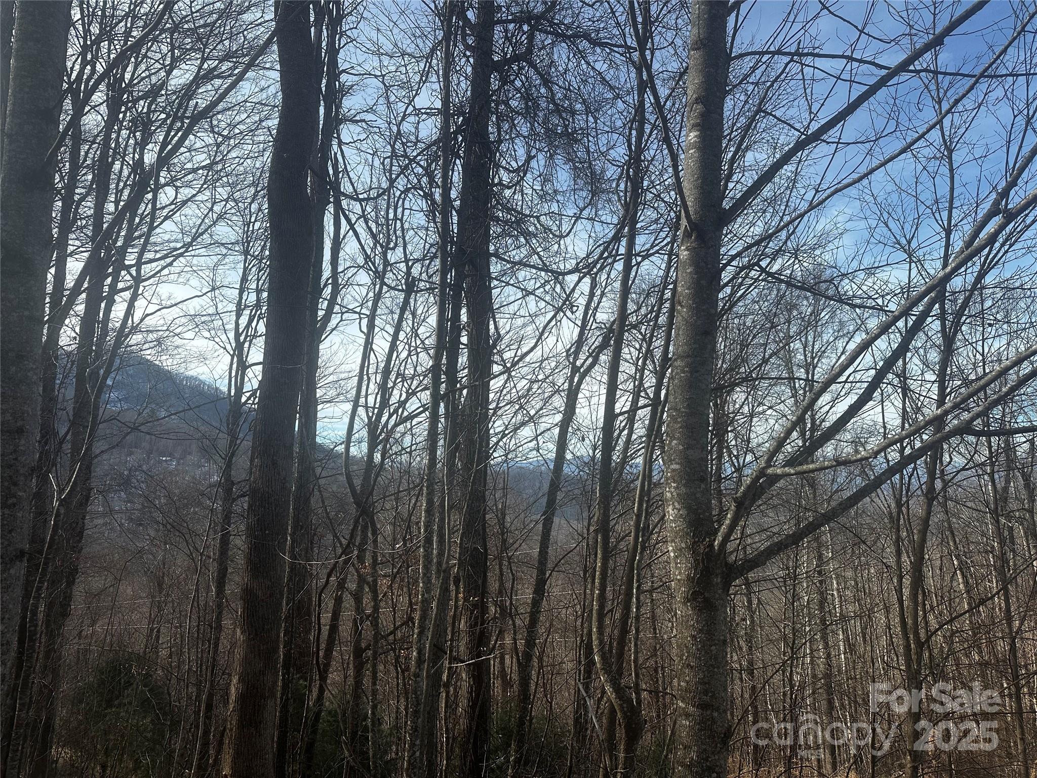 Acreage at 0 Wild Turkey Road, Bakersville, photo 3 of 7