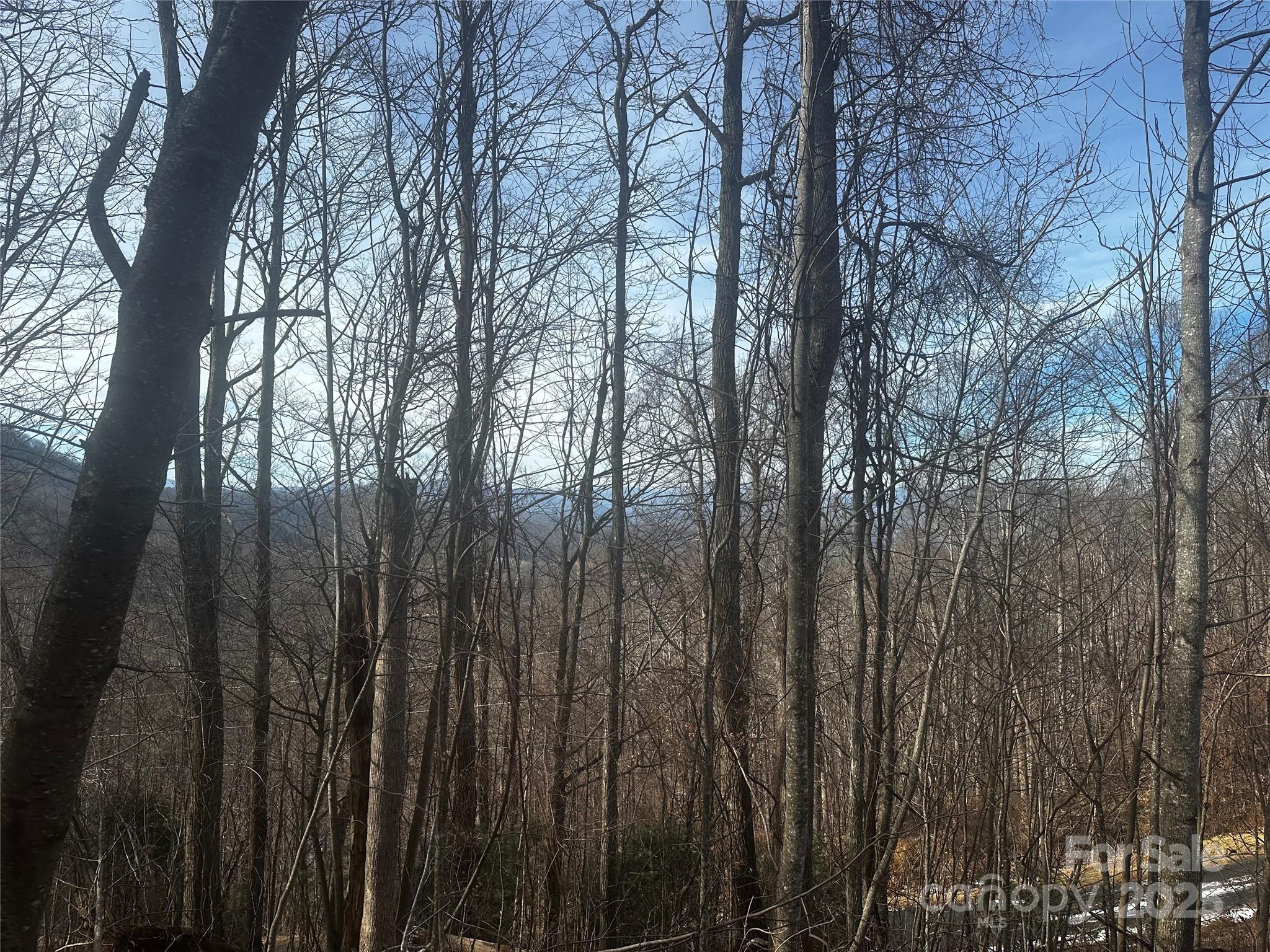 Acreage at 0 Wild Turkey Road, Bakersville, photo 6 of 7
