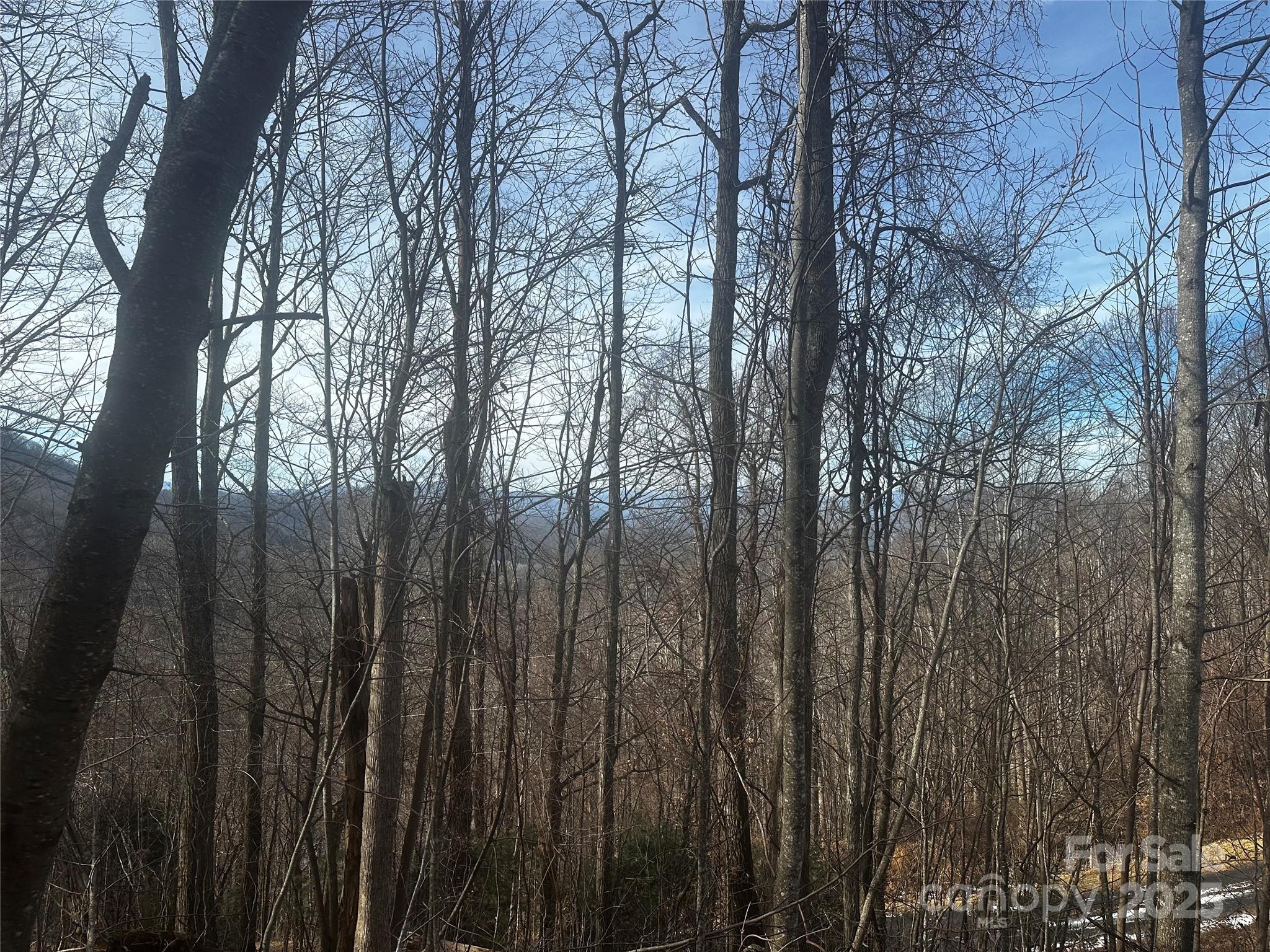 Acreage at 0 Wild Turkey Road, Bakersville, photo 7 of 7