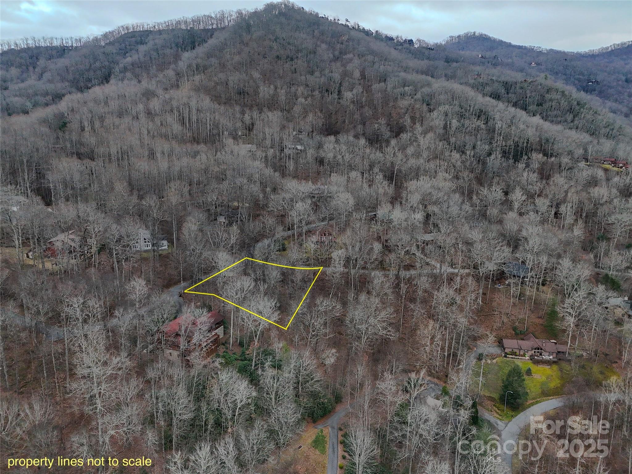 Lot at TBD Hornets Nest Road, Maggie Valley, photo 4 of 14