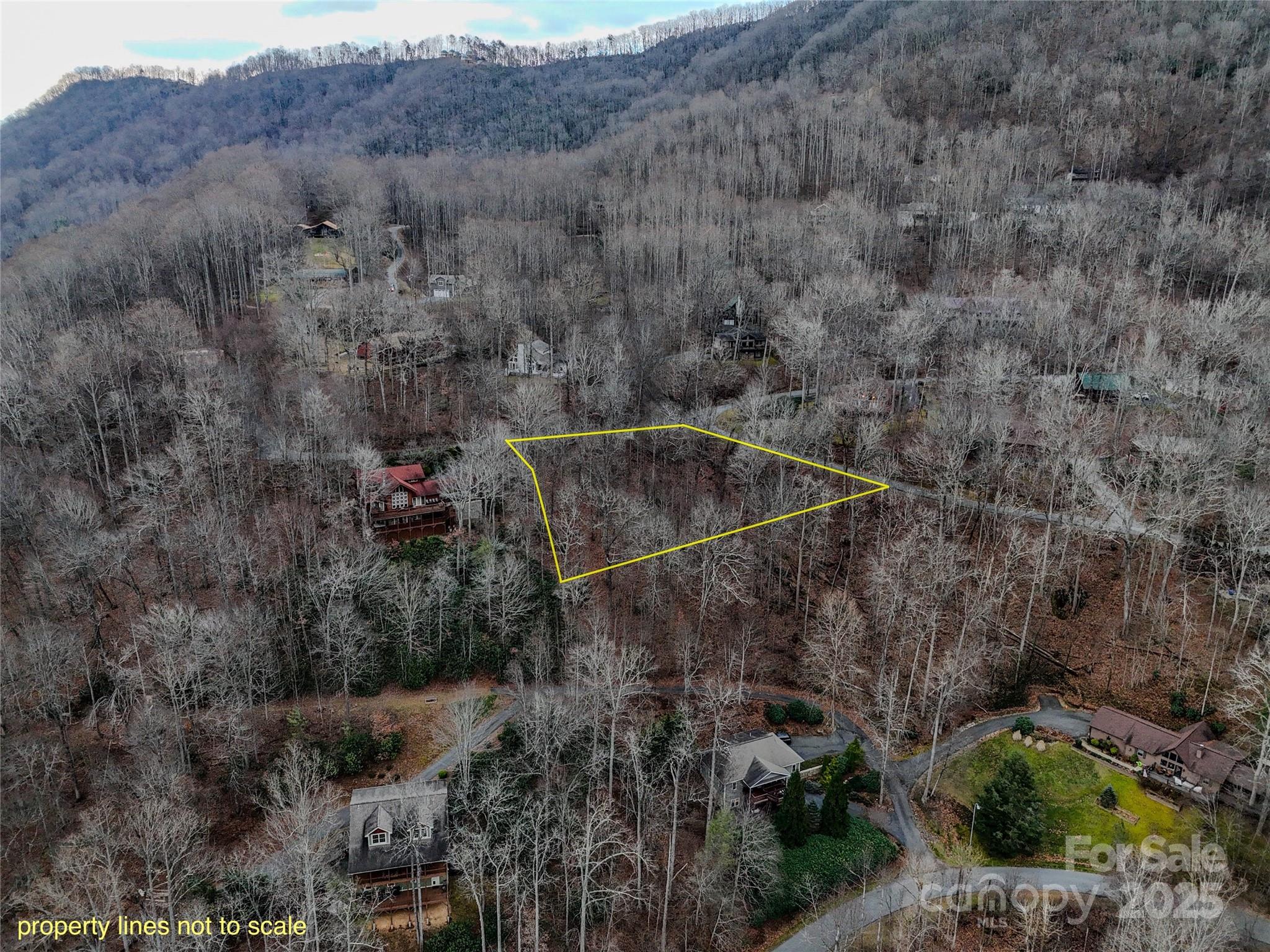 Lot at TBD Hornets Nest Road, Maggie Valley, photo 5 of 14