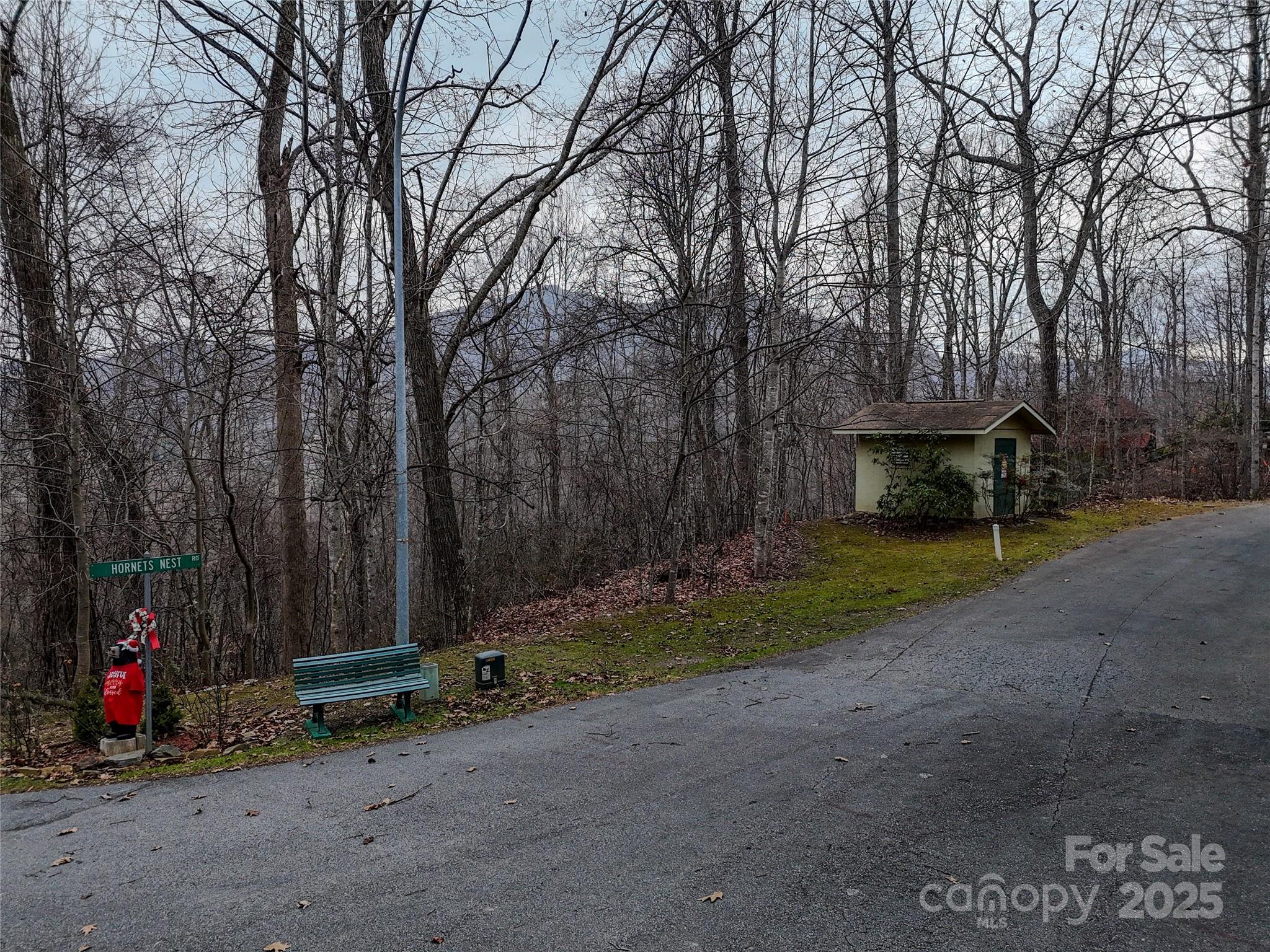 Lot at TBD Hornets Nest Road, Maggie Valley, photo 9 of 14