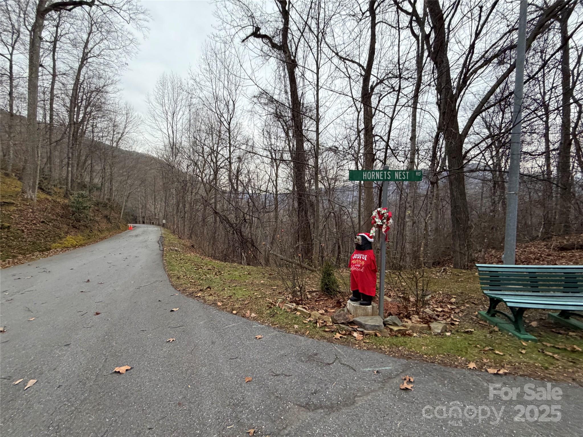 Lot at TBD Hornets Nest Road, Maggie Valley, photo 11 of 14