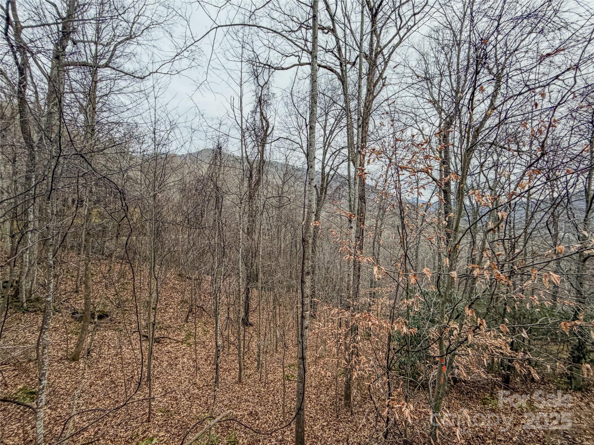 Lot at TBD Hornets Nest Road, Maggie Valley, photo 12 of 14