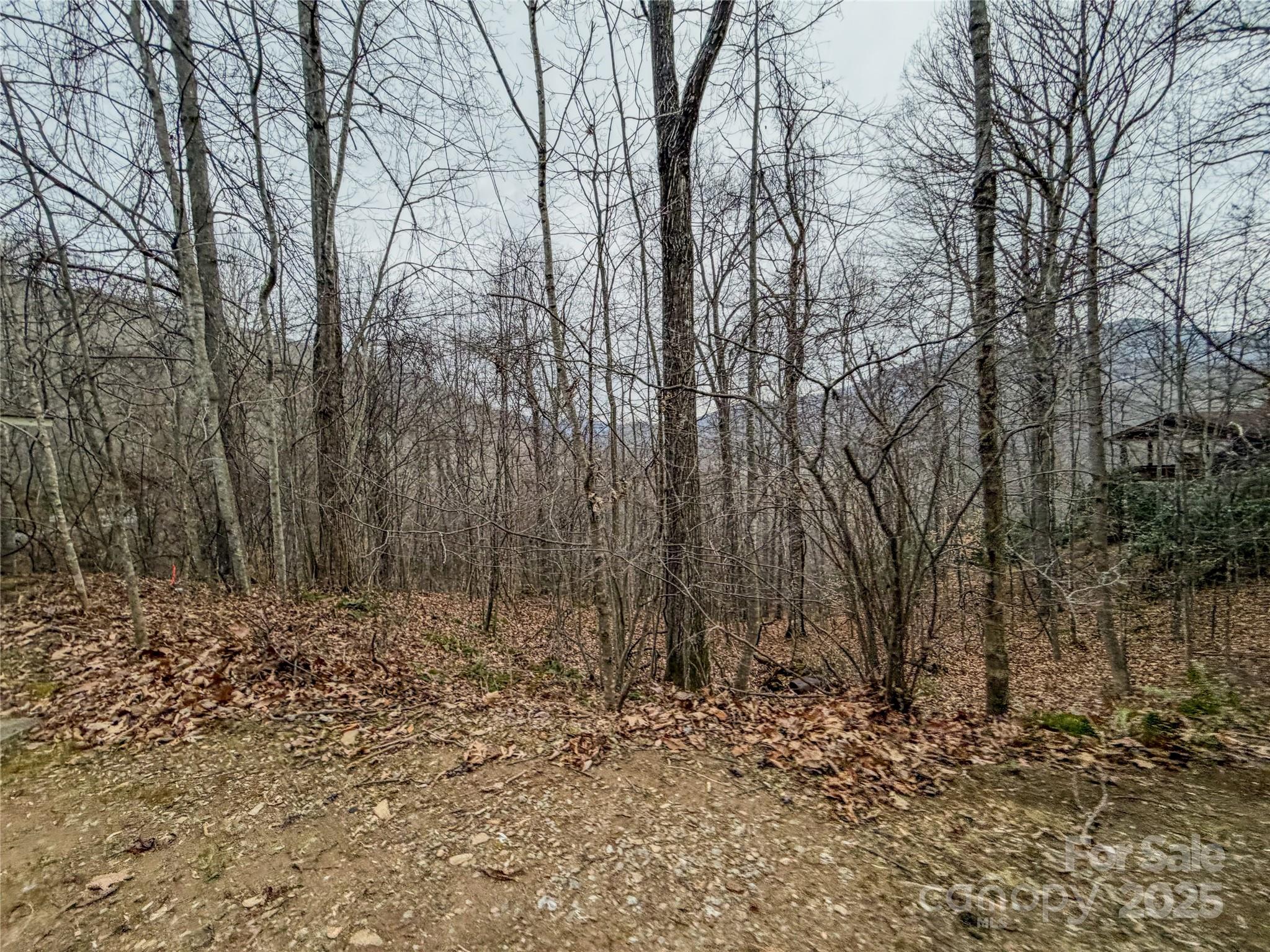 Lot at TBD Hornets Nest Road, Maggie Valley, photo 13 of 14