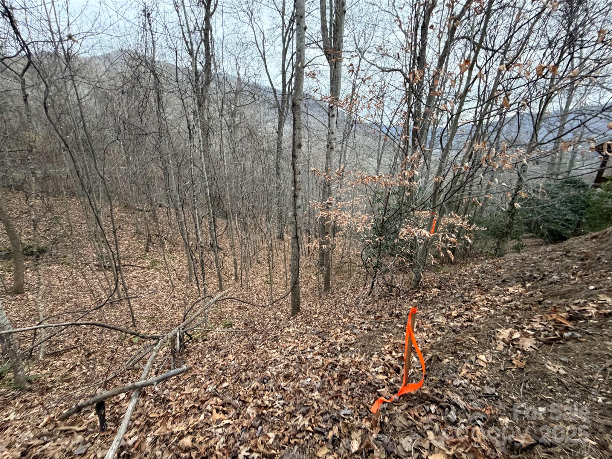 Lot at TBD Hornets Nest Road, Maggie Valley, photo 14 of 14