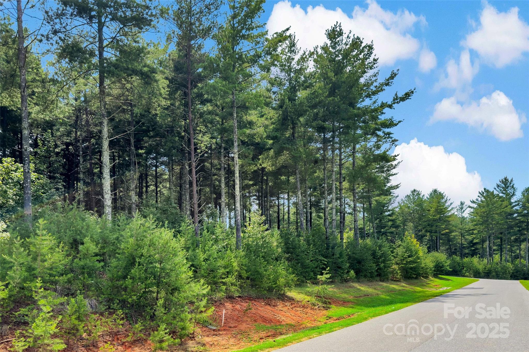 Lot at 365 Peninsula Reserve Road, Nebo, photo 17 of 47