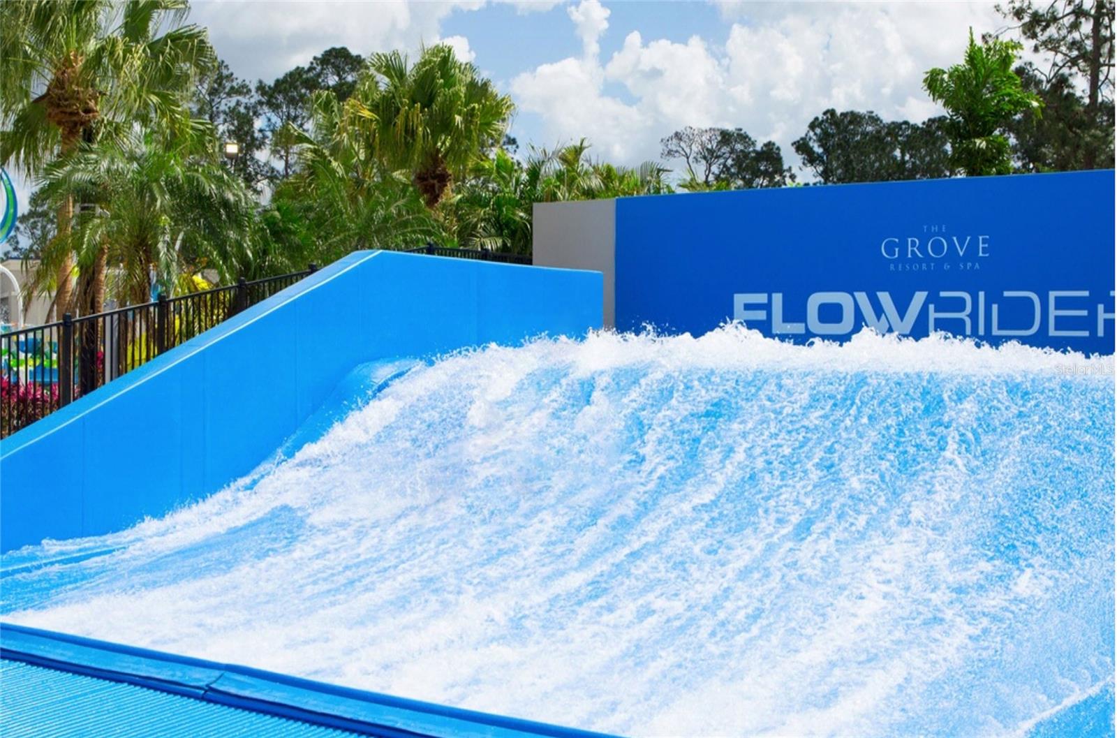 Flowrider - 14501 GROVE RESORT AVE #1622, WINTER GARDEN