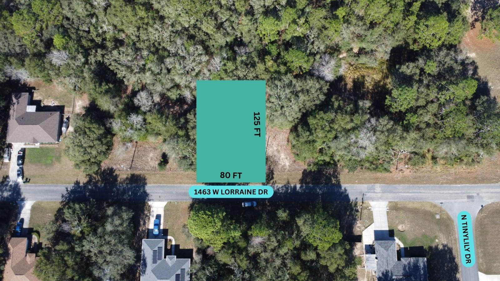1463 W LORRAINE DR