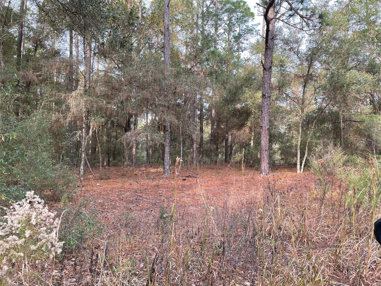 LOT 9 SW 152ND AVE