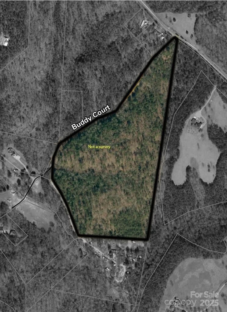 Acreage at 819 Grassy Knob Road, Rutherfordton, photo 2 of 2