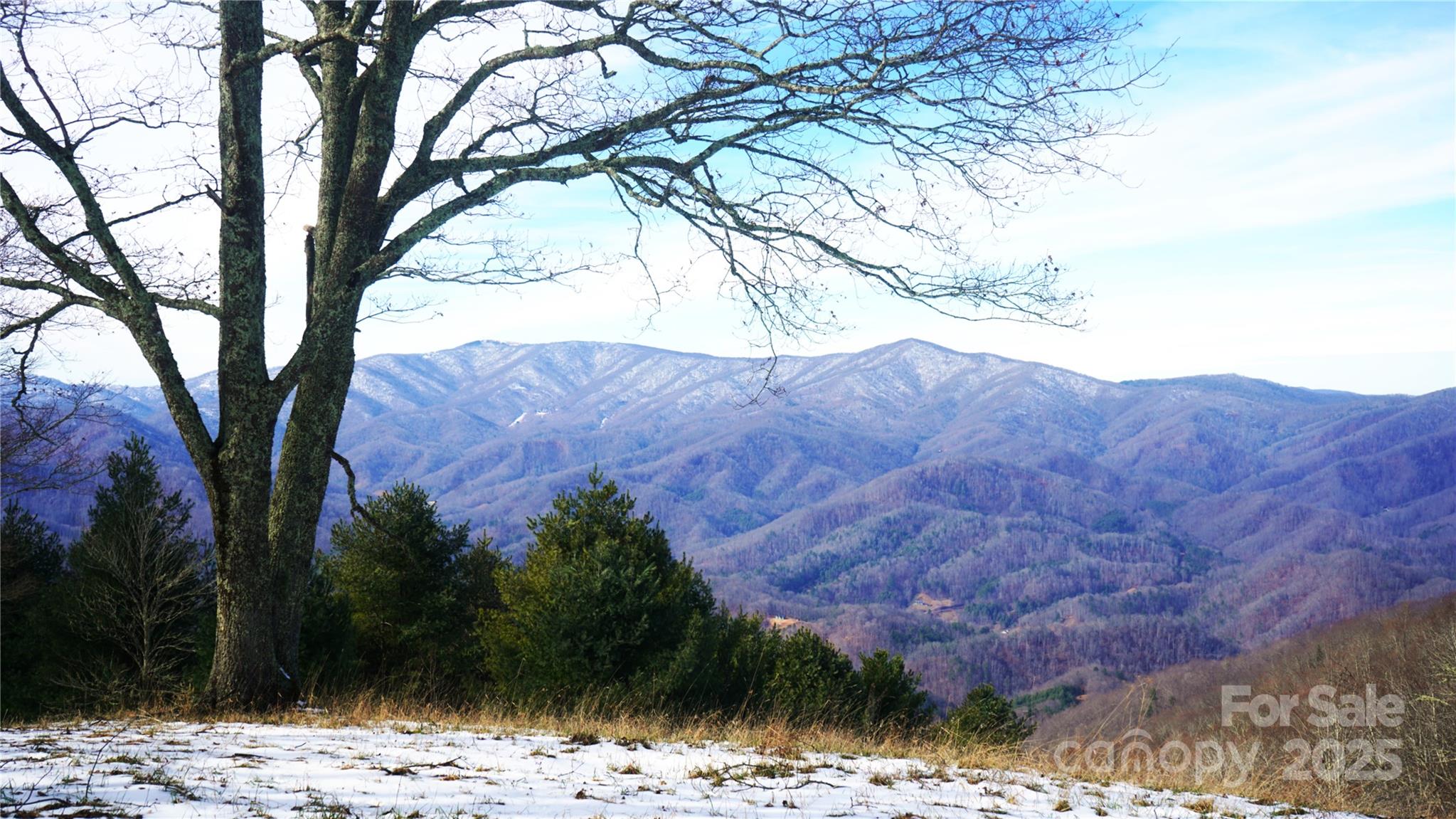 North view, sloping meadows,property top - SR-1386 W Sang Branch, Hog Branch Road W, Burnsville