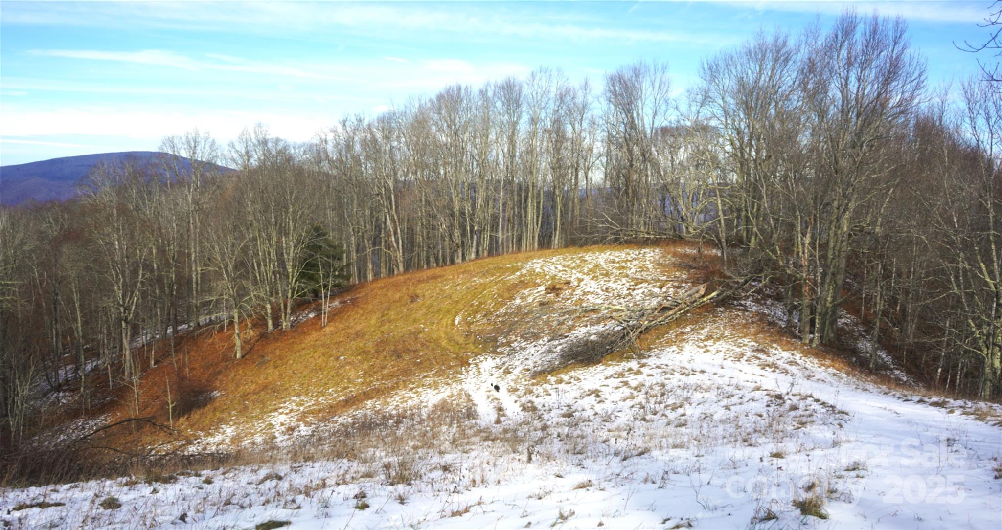 West view,from meadow property top - SR-1386 W Sang Branch, Hog Branch Road W, Burnsville